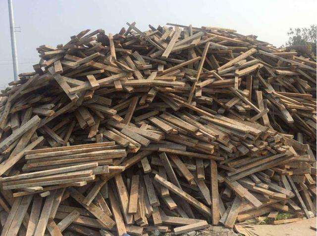 mucai4.jpg
